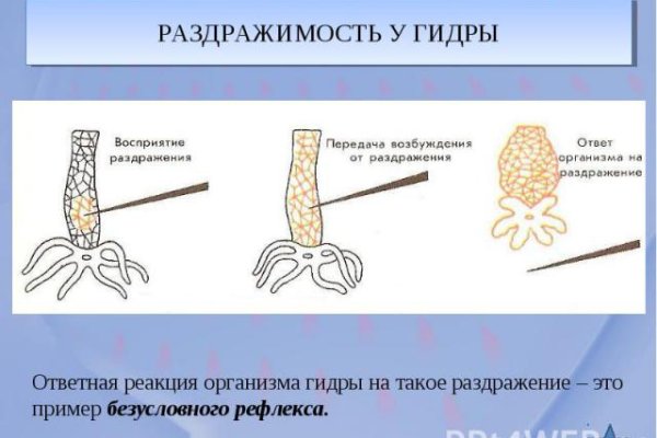 Кракен маркетплейс актуальные ссылки