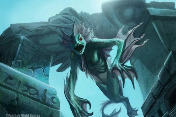 Kraken official