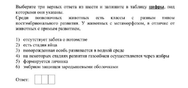 Кракен даркнет не работает
