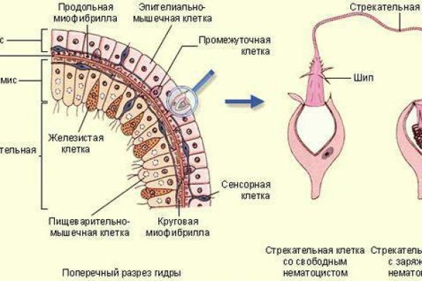 Кракен ссылка маркет