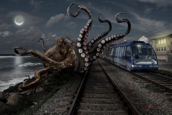 Kraken at зеркало