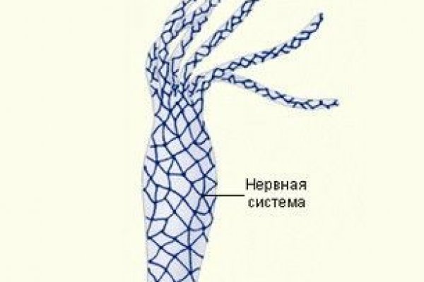 Кракен ссылка новая