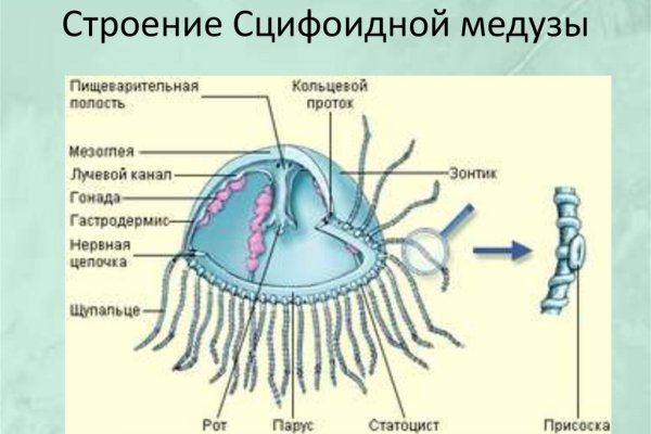 Скачать кракен тор