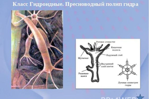 Кракен сайт маркетплейс ссылка