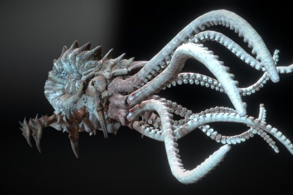Kraken market зеркала